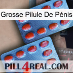 Grosse Pilule De Pénis 05